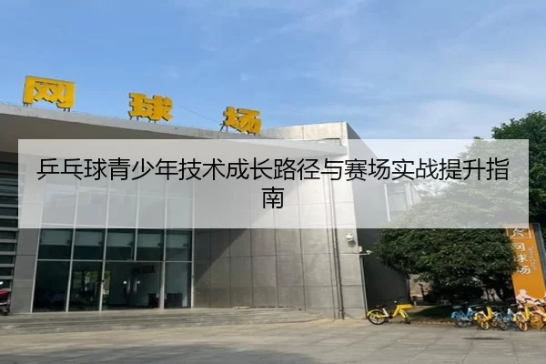 乒乓球青少年技术成长路径与赛场实战提升指南